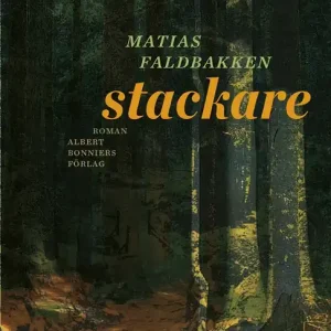 Stackare (e-bok) av Matias Faldbakken - Begagnad bok
