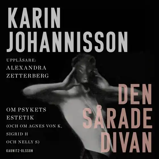Den sårade divan (ljudbok) av Karin Johannisson