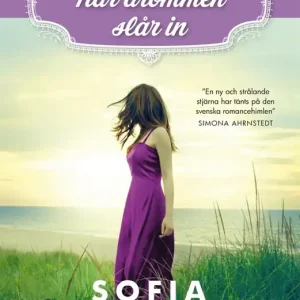 När drömmen slår in (e-bok) av Sofia Fritzson