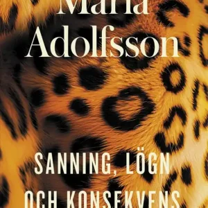 Sanning, lögn och konsekvens (e-bok) av Maria Adolfsson