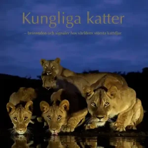 Kungliga katter : Beteenden och signaler hos världens största kattdjur (e-bok) av Thorsten Klint