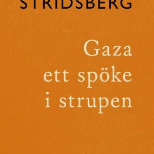 Gaza ett spöke i strupen (e-bok) av Sara Stridsberg risnedsättning