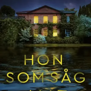 Hon som såg allt (e-bok) av Darby Kane