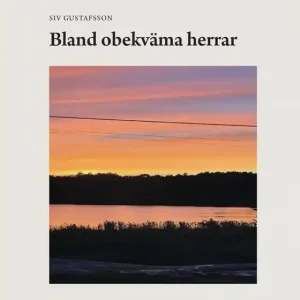 Bland obekväma herrar (e-bok) av Siv Gustafsson