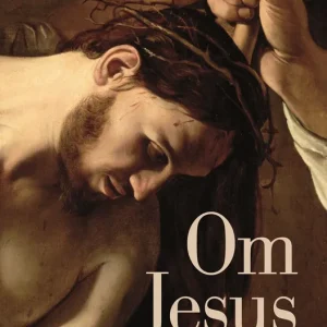 Om Jesus (e-bok) av Jonas Gardell