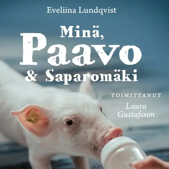 risnedsättning Minä, Paavo ja Saparomäki (ljudbok) av Eveliina Lundqvist