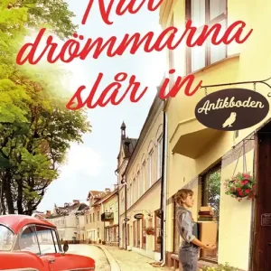 När drömmarna slår in (e-bok) av Sofie Axelzon