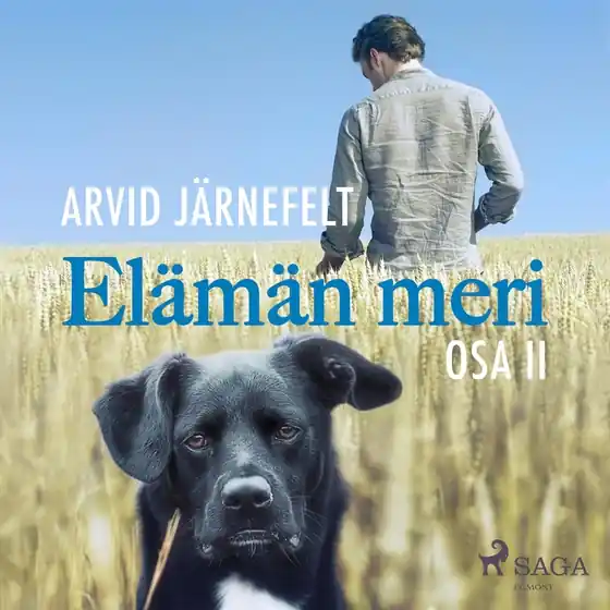 Elämän meri, osa 2 (ljudbok) av Arvid Järnefelt