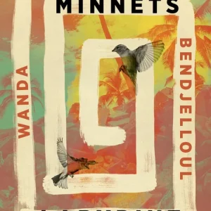 Minnets labyrint (e-bok) av Wanda Bendjelloul