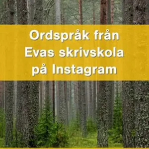 Ordspråk från Evas skrivskola på Instagram (e-bok) av Eva Sahlström