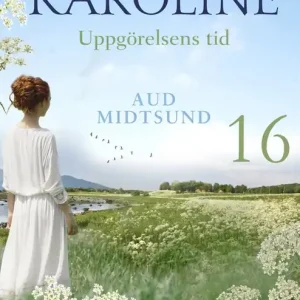 Uppgörelsens tid (e-bok) av Aud Midtsund
