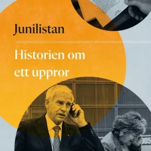 Junilistan : historien om ett uppror (e-bok) av Nils Lundgren