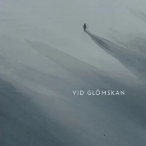 Vid glömskan (e-bok) av Erik Bergqvist