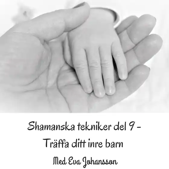 Shamanska tekniker del 9 (ljudbok) av Eva Johansson