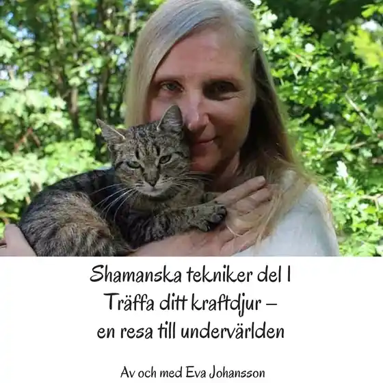 Shamanska tekniker del 1 (ljudbok) av Eva Johansson