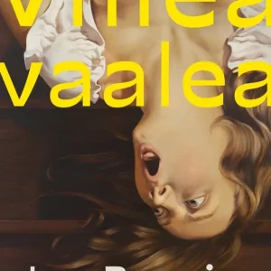 Viileä vaalea (e-bok) av Jen Beagin