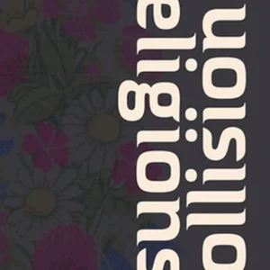 Religionskollision - Minoritet, majoritet och toleransens gränser (e-bok) av Eli Göndör