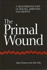 The primal wound : a transpersonal view of trauma, addiction, and growth