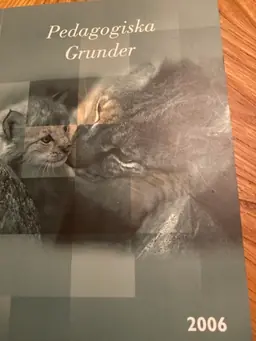 Pedagogiska grunder