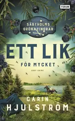 Ett lik för mycket - Begagnad bok
