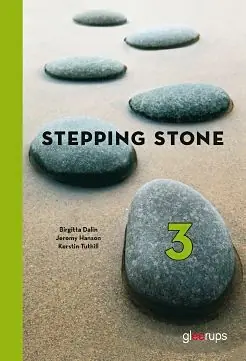 Stepping Stone 3 Elevbok - Begagnad bok