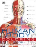 Dk: Human Body Coloring Book