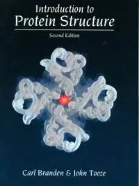 Introduction to protein structure