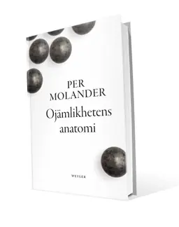 Ojämlikhetens anatomi