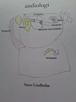 Kompendium i audiologi