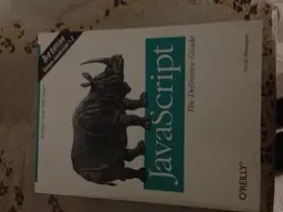 JavaScript : the definitive guide risnedsättning