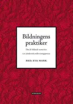 Bildningens praktiker : om de bildande momenten i en akademisk undervisningsprocess