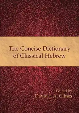The concise dictionary of classical Hebrew - Begagnad bok